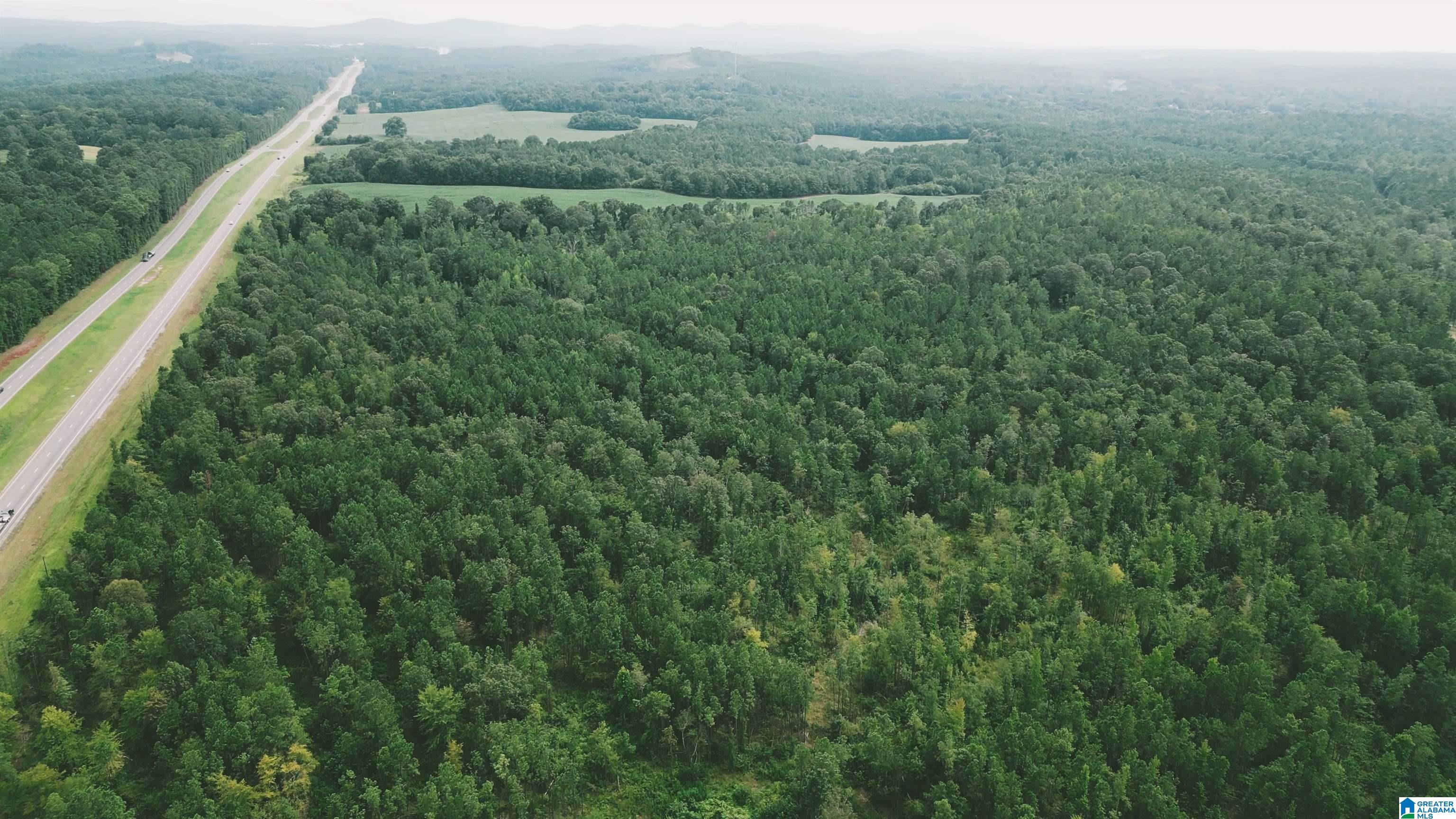 Hwy 77 State Road, Unit 1 Talladega, AL 35160 - Photo 1 of 8