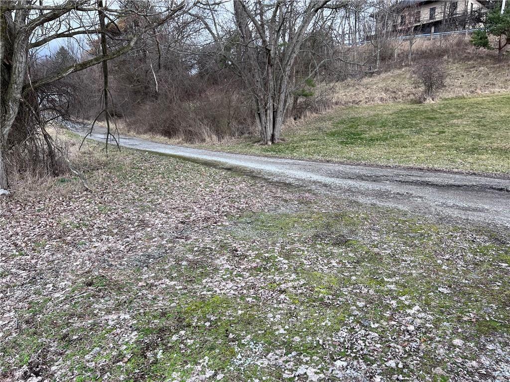 0 Williams Street Washington, PA 15301 - Photo 16 of 41 a backyard of a house with lots of green space
