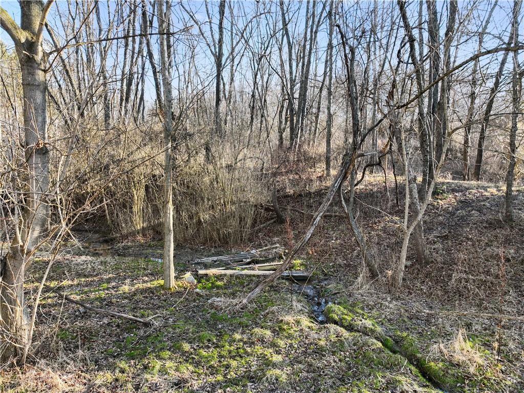 0 Williams Street Washington, PA 15301 - Photo 38 of 41 a backyard of a house with lots of green space