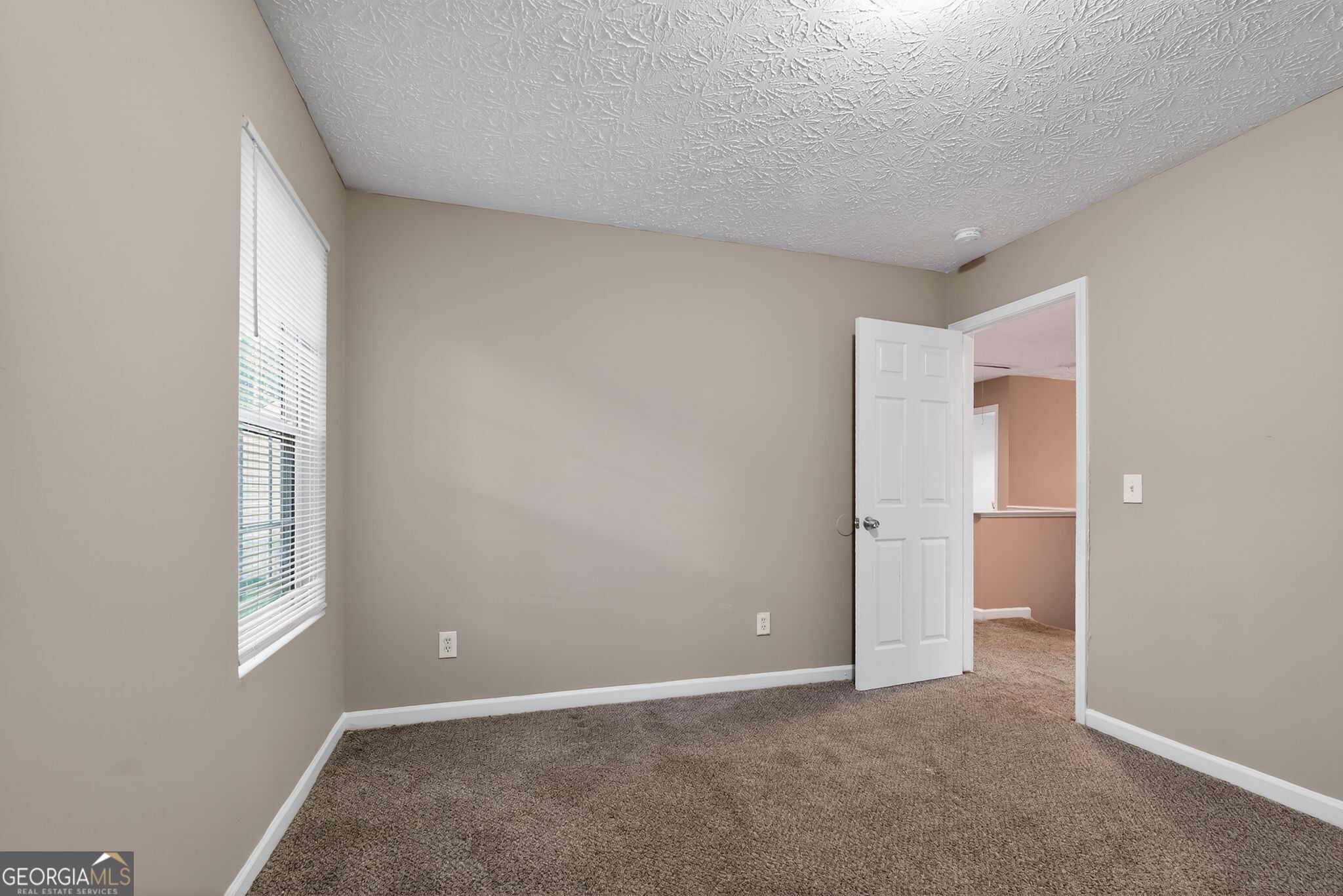 7177 Walton Hill Fairburn, GA 30213 - Photo 4 of 39