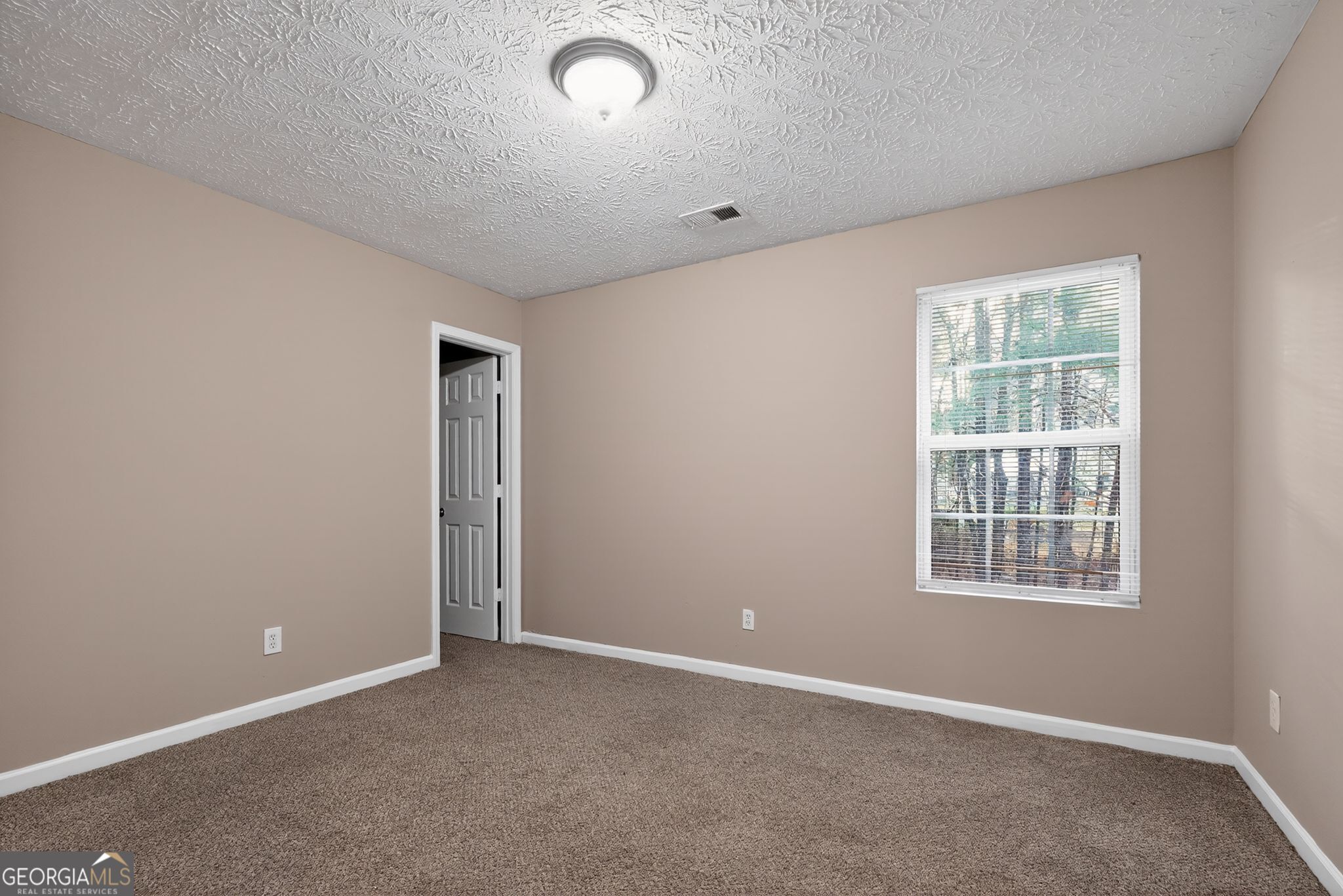 7177 Walton Hill Fairburn, GA 30213 - Photo 6 of 39