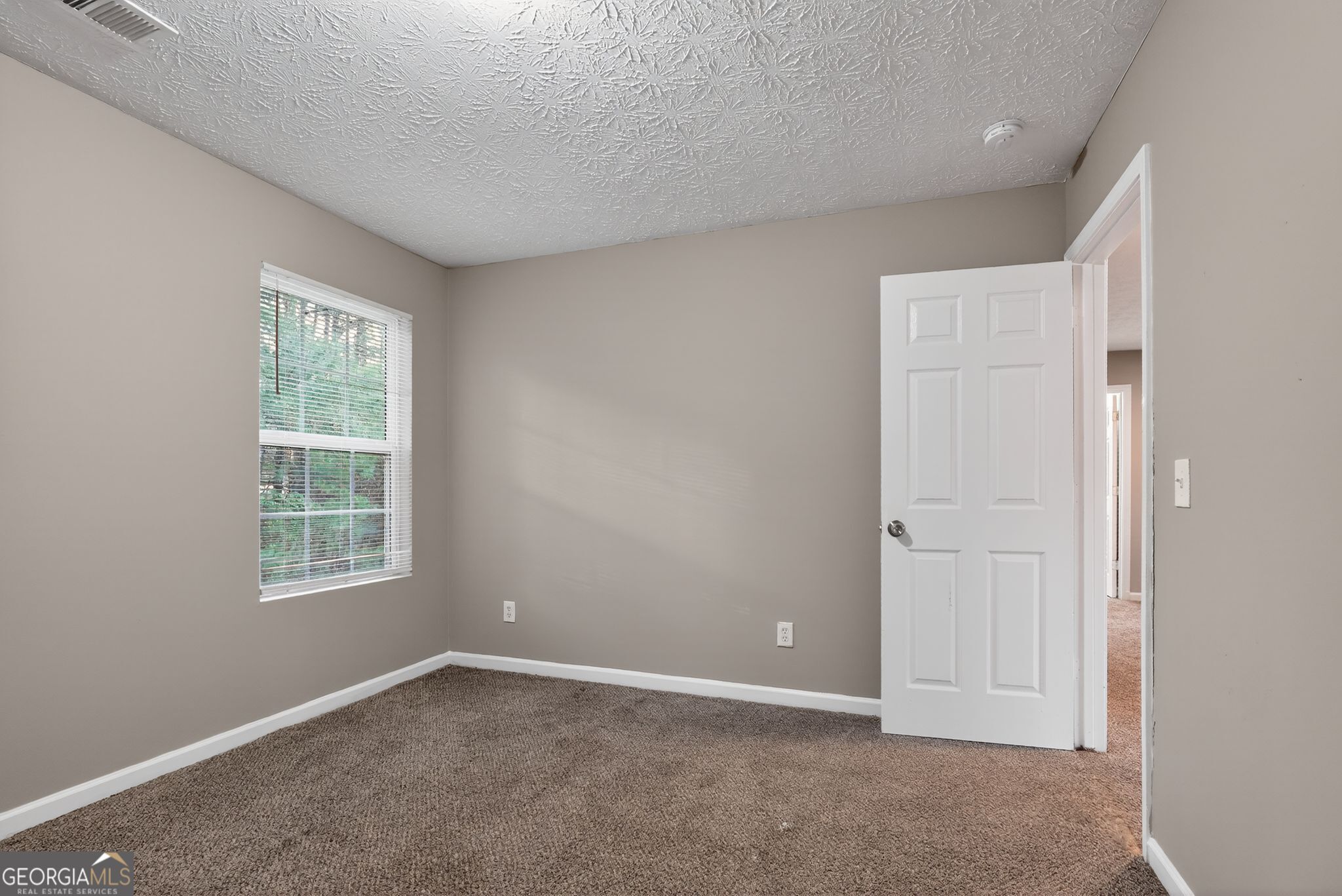 7177 Walton Hill Fairburn, GA 30213 - Photo 7 of 39
