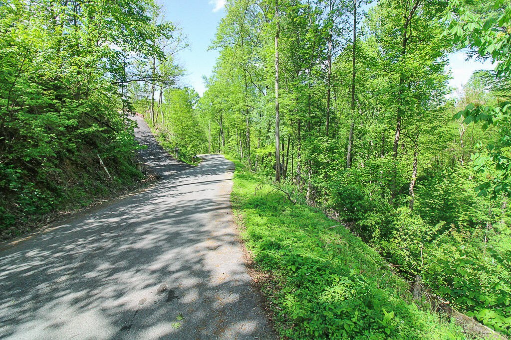 579 Crooked Ridge Road Gatlinburg, TN 37738 - Photo 7 of 24 Gallery Image 7