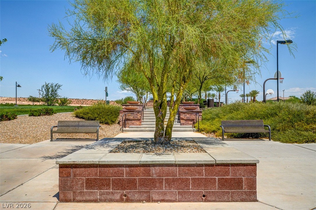 10313 Aragon Crown Road Las Vegas, NV 89135 - Photo 82 of 93