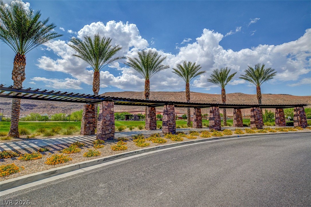 10313 Aragon Crown Road Las Vegas, NV 89135 - Photo 88 of 93