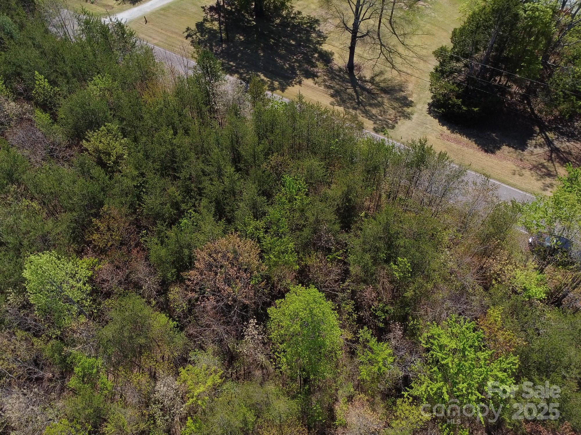 0 Snowhill Church Road Morganton, NC 28655 - Photo 32 of 40