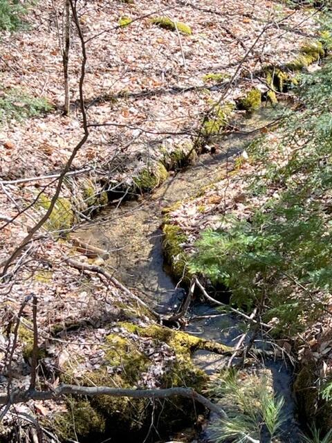Lot 15 Lovell Road Harrison, ME 04040 - Photo 5 of 14 Small brook