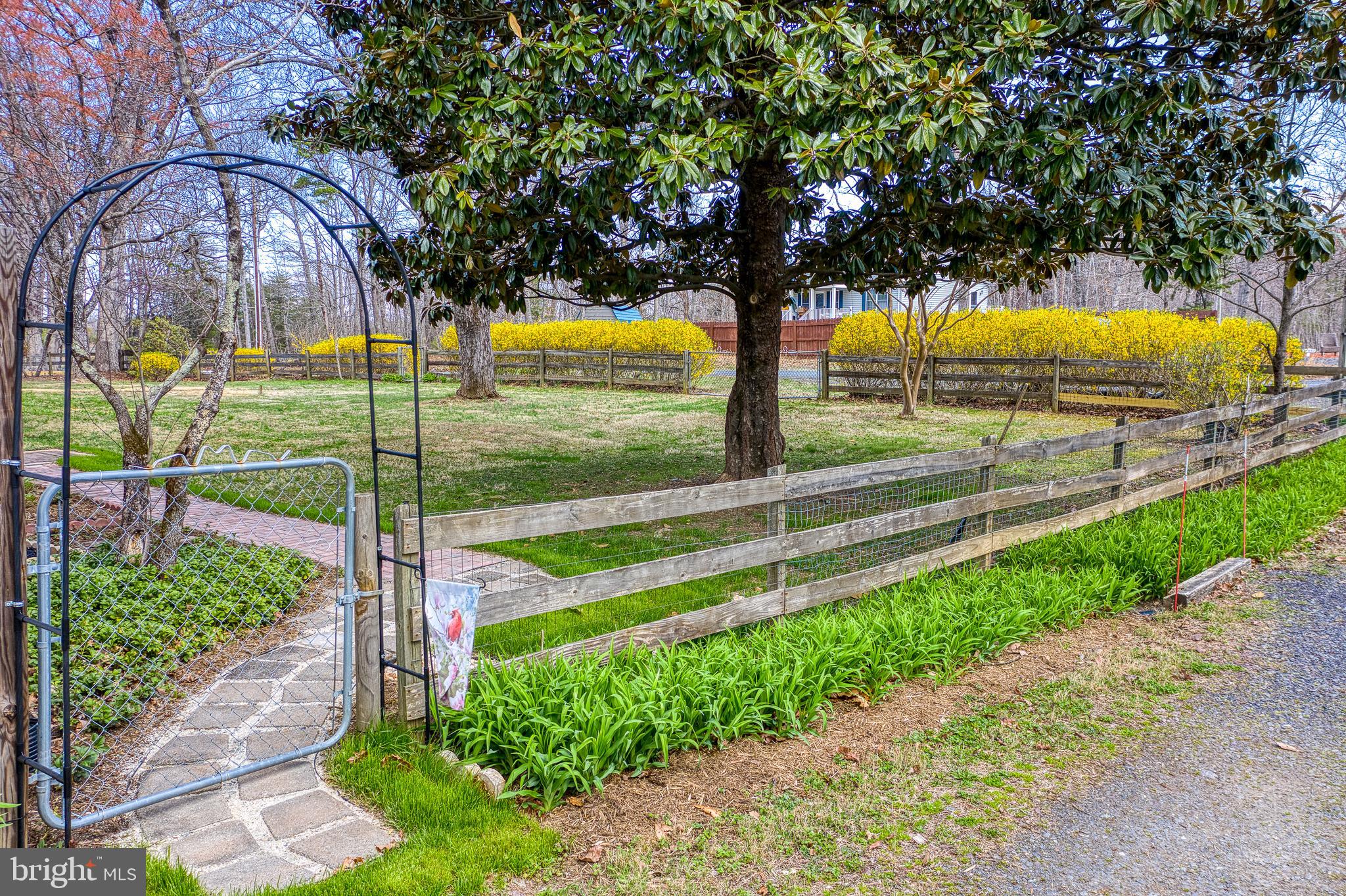 20174 Edwards Shop Road Elkwood, VA 22718 - Photo 16 of 54 a view of a park with large trees