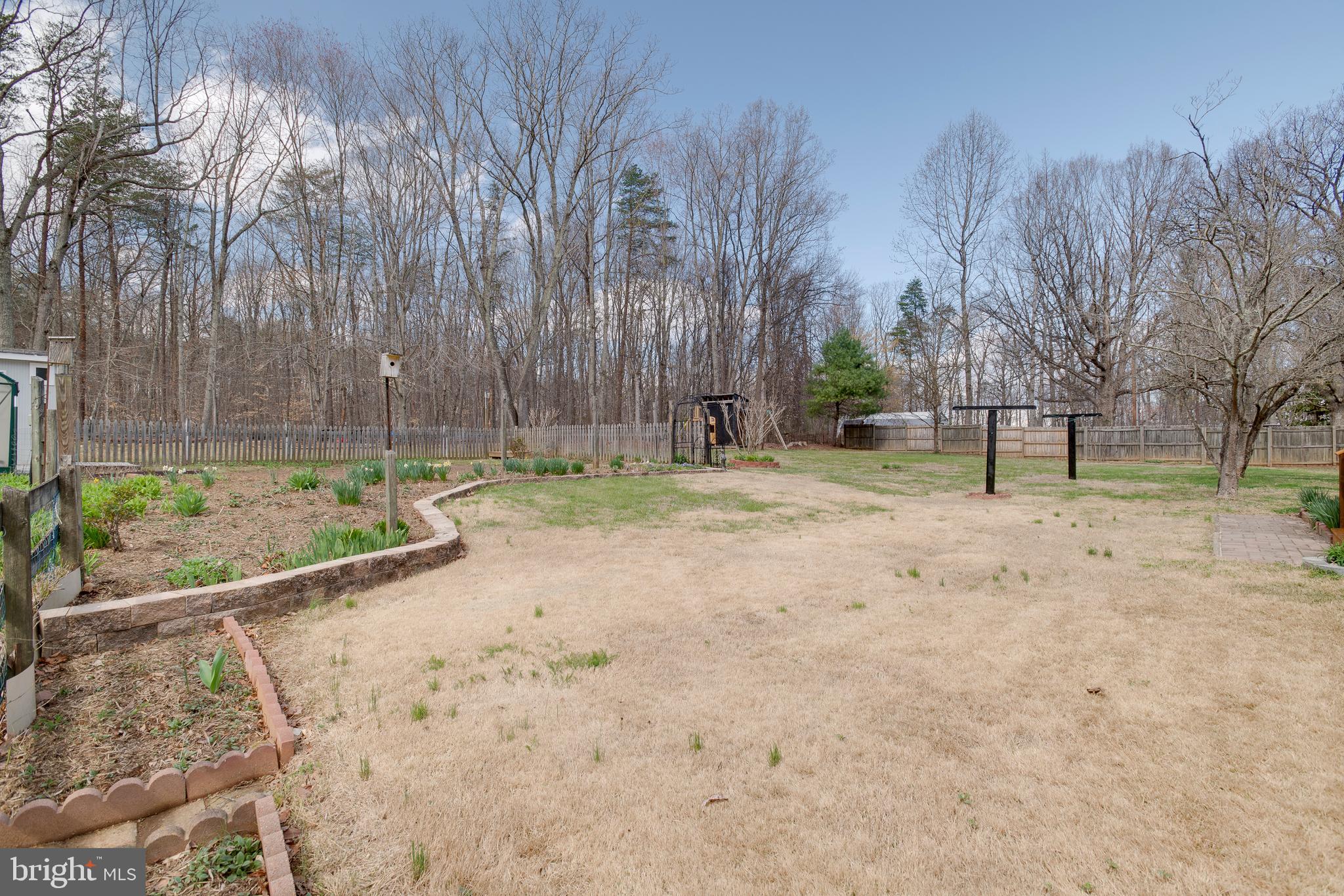 20174 Edwards Shop Road Elkwood, VA 22718 - Photo 27 of 54 a backyard of a house with lots of green space