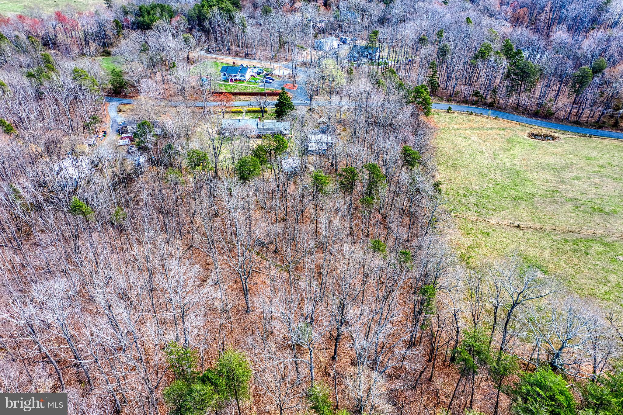 20174 Edwards Shop Road Elkwood, VA 22718 - Photo 37 of 54 a view of a backyard with plants and large trees