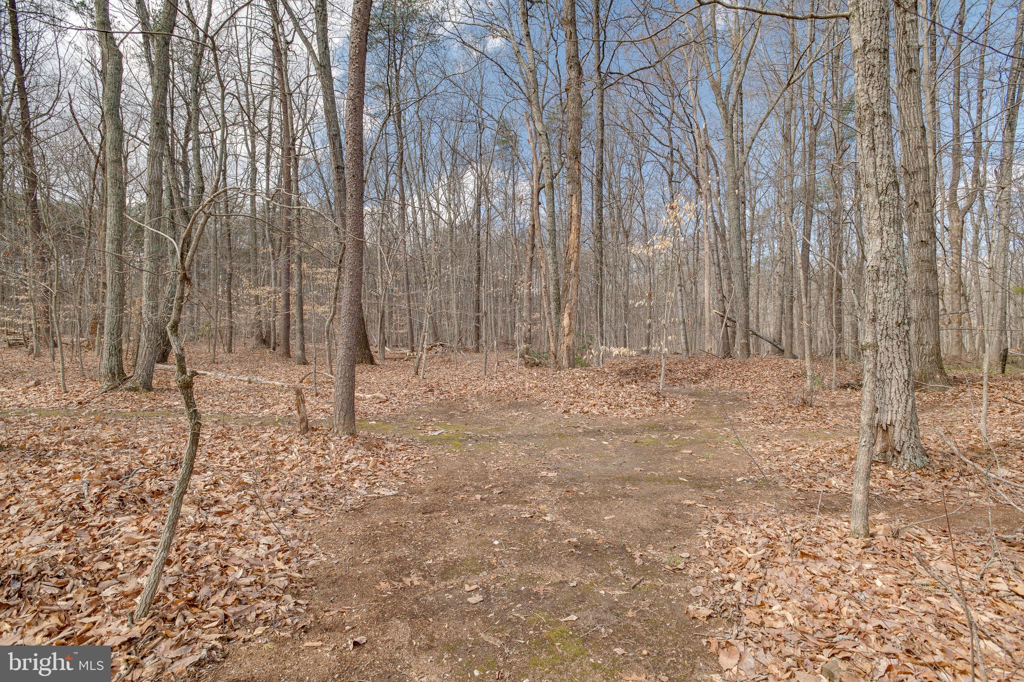 20174 Edwards Shop Road Elkwood, VA 22718 - Photo 70 of 92 a view of wooden fence