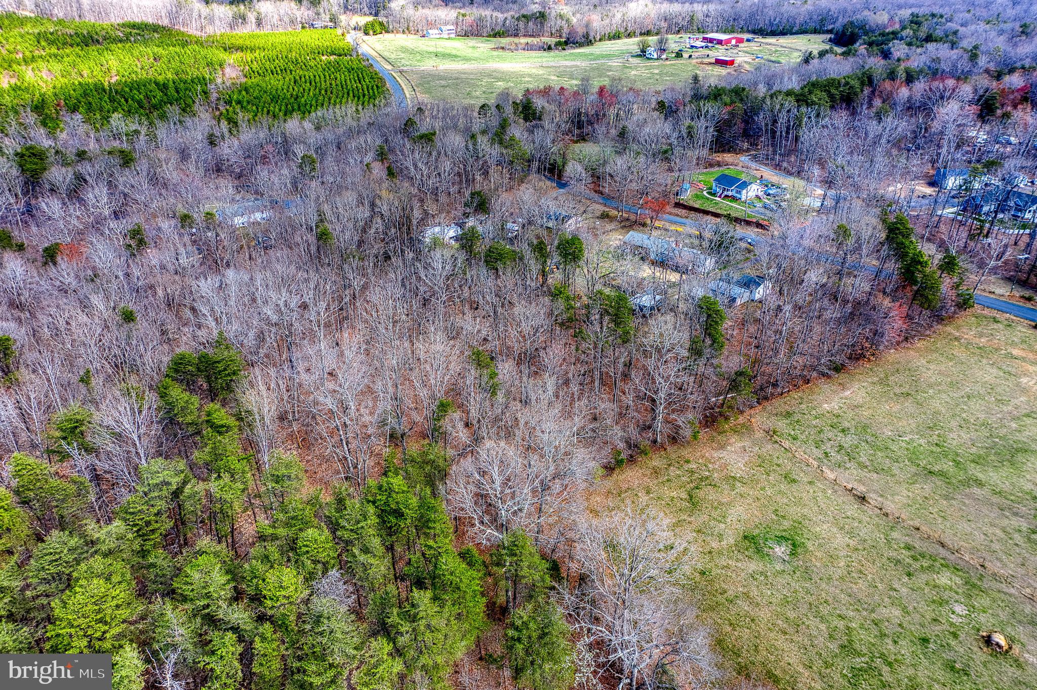 20174 Edwards Shop Road Elkwood, VA 22718 - Photo 77 of 92 a view of a garden with a lot of plants