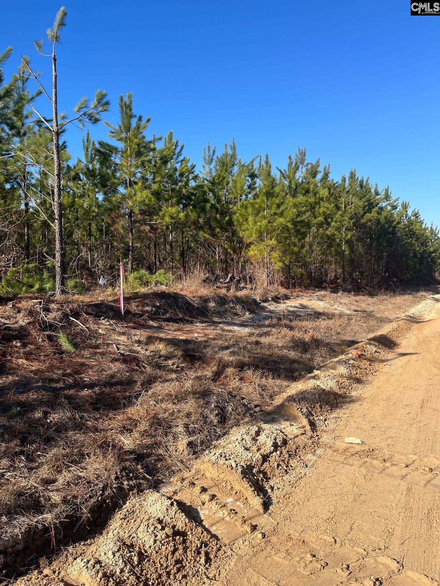 8 Brunson Teal Road, Unit BFF II 8 Patrick, SC 29584 - Photo 1 of 25
