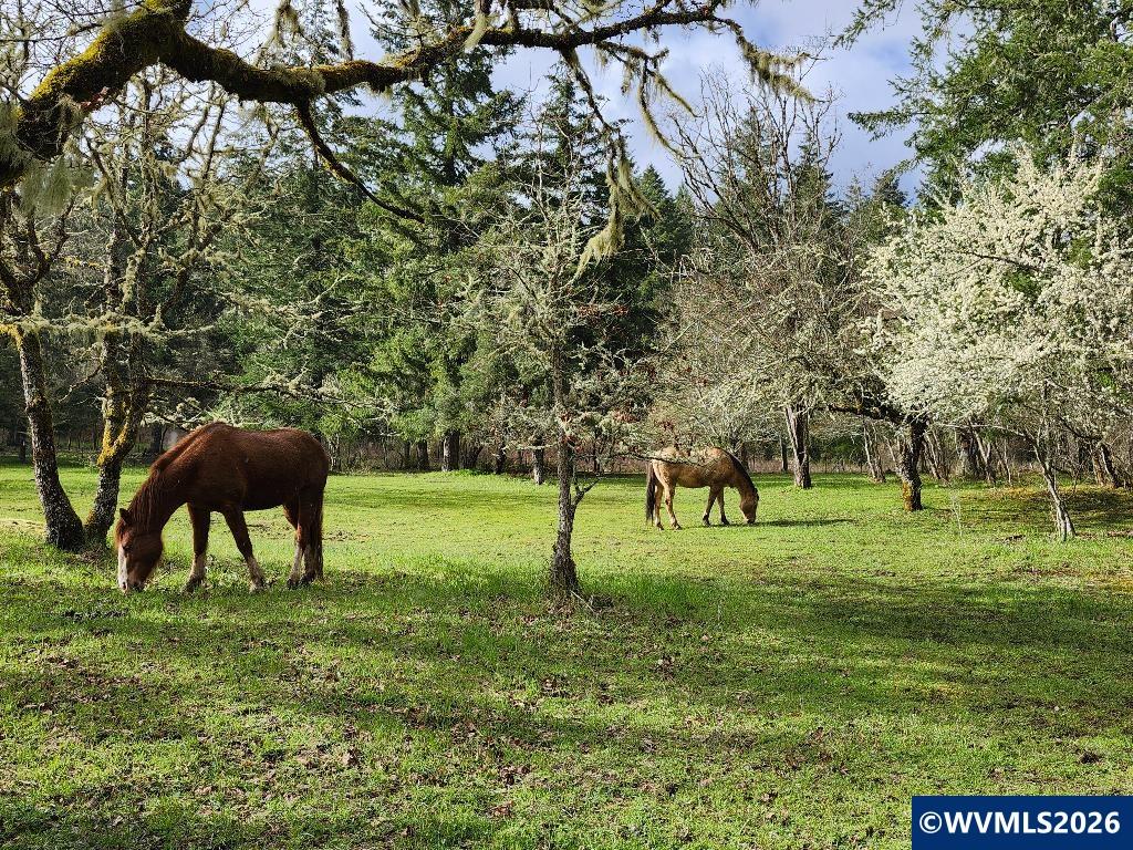27494 South Boundary Road Corvallis, OR 97330 - Photo 21 of 41