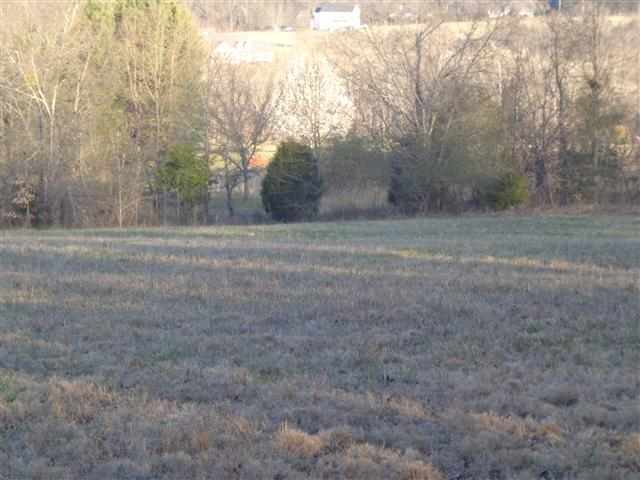 0 Midway Road Belton, SC 29627 - Photo 8 of 17