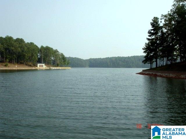 Bluegill Drive Wedowee, AL 36278 - Photo 3 of 7