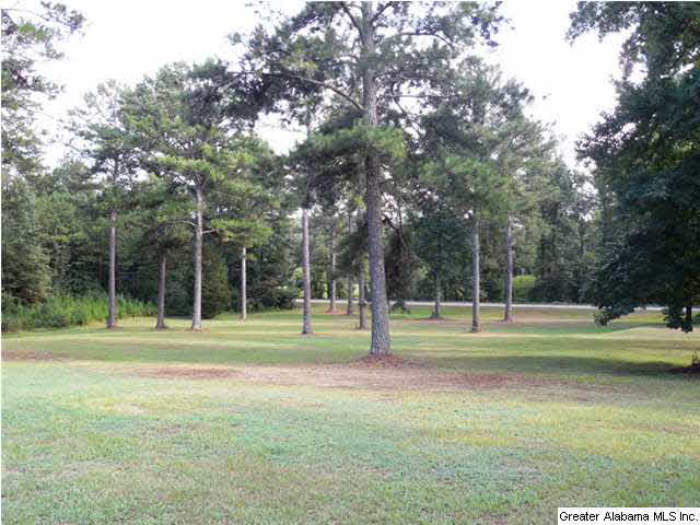 140 Renfroe Road Talladega, AL 35160 - Photo 29 of 32