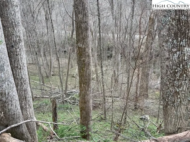 $69,900 | Lot 5 Stonegate Lane, Creston, NC 28615