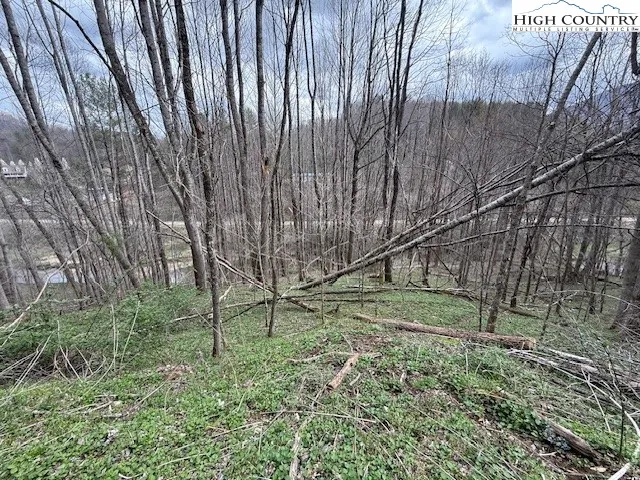 $69,900 | Lot 5 Stonegate Lane, Creston, NC 28615
