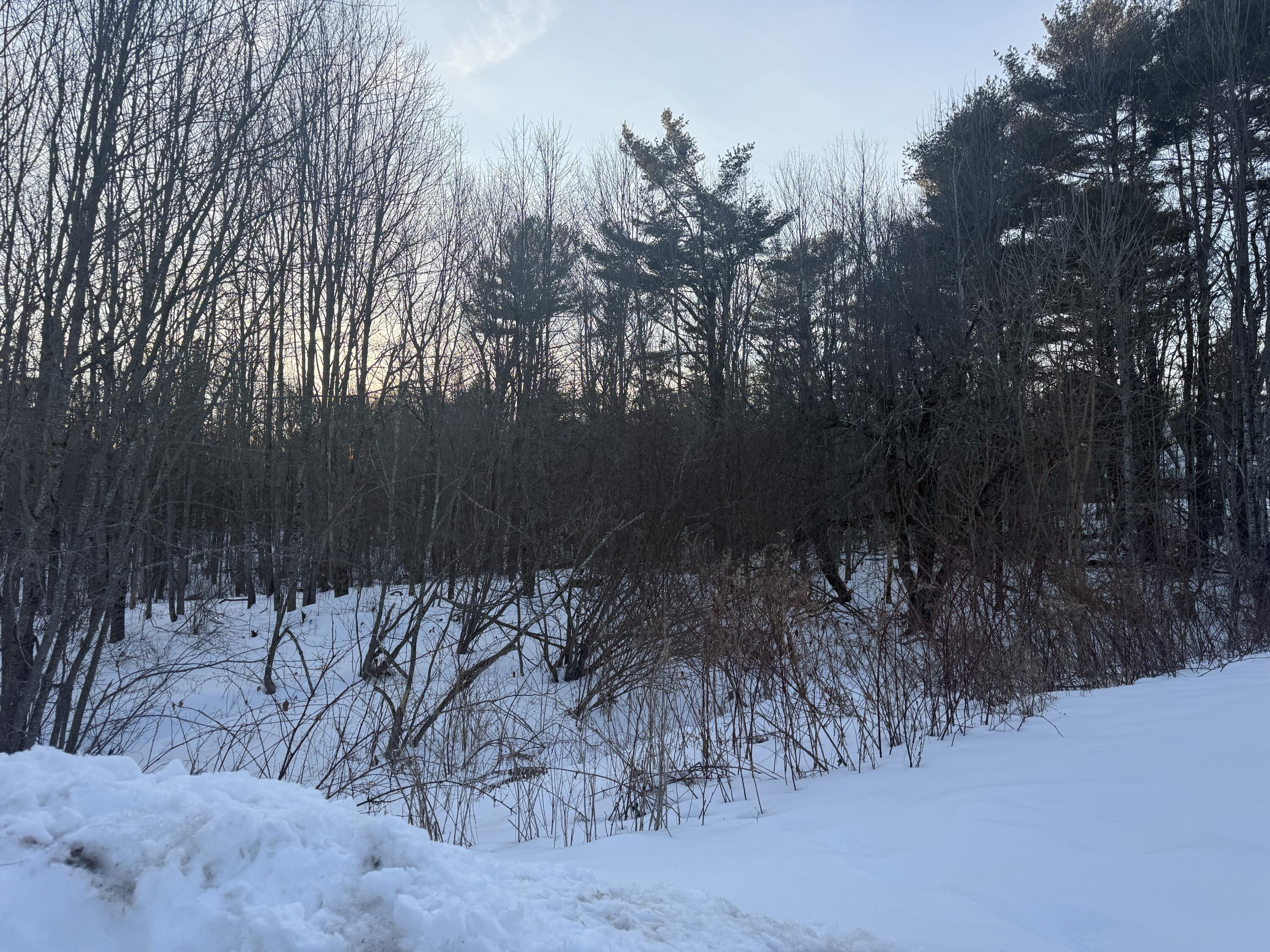 566 Back Winterport Road Winterport, ME 04496 - Photo 27 of 28 IMG_8775