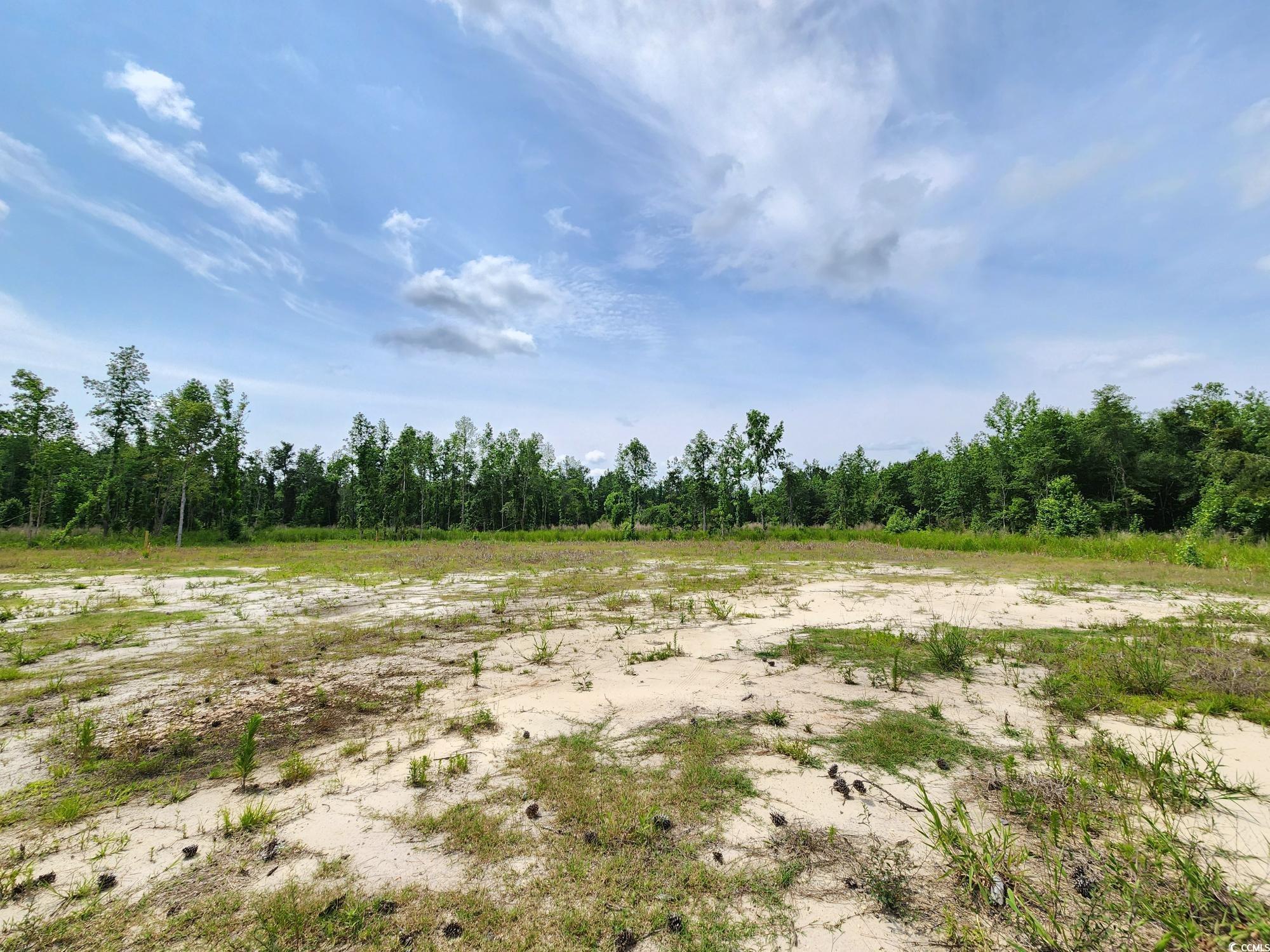 5375 Long Branch Swamp Road Nichols, SC 29581 - Photo 1 of 18 Gallery Image 1
