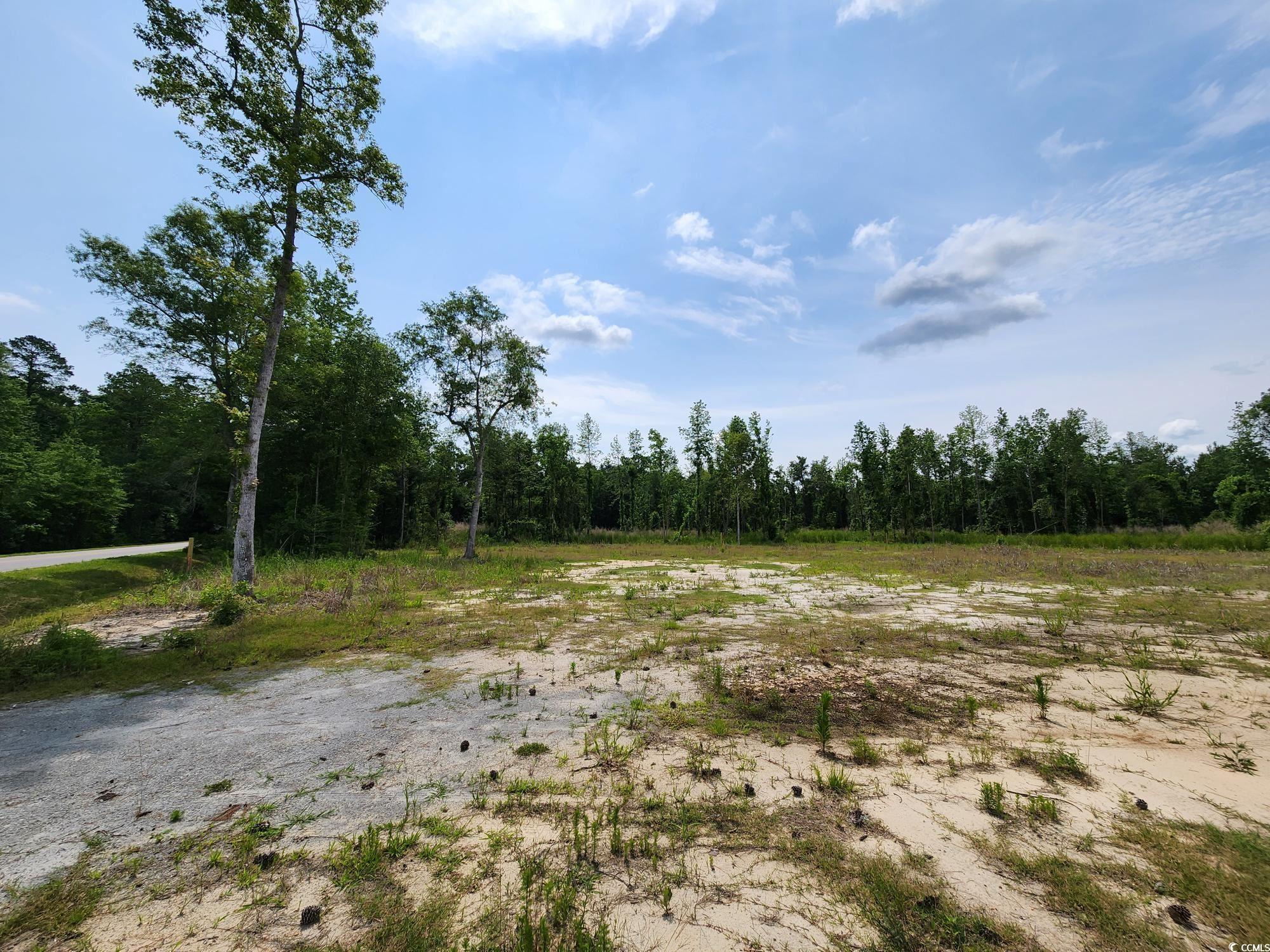 5375 Long Branch Swamp Road Nichols, SC 29581 - Photo 5 of 18 Gallery Image 5