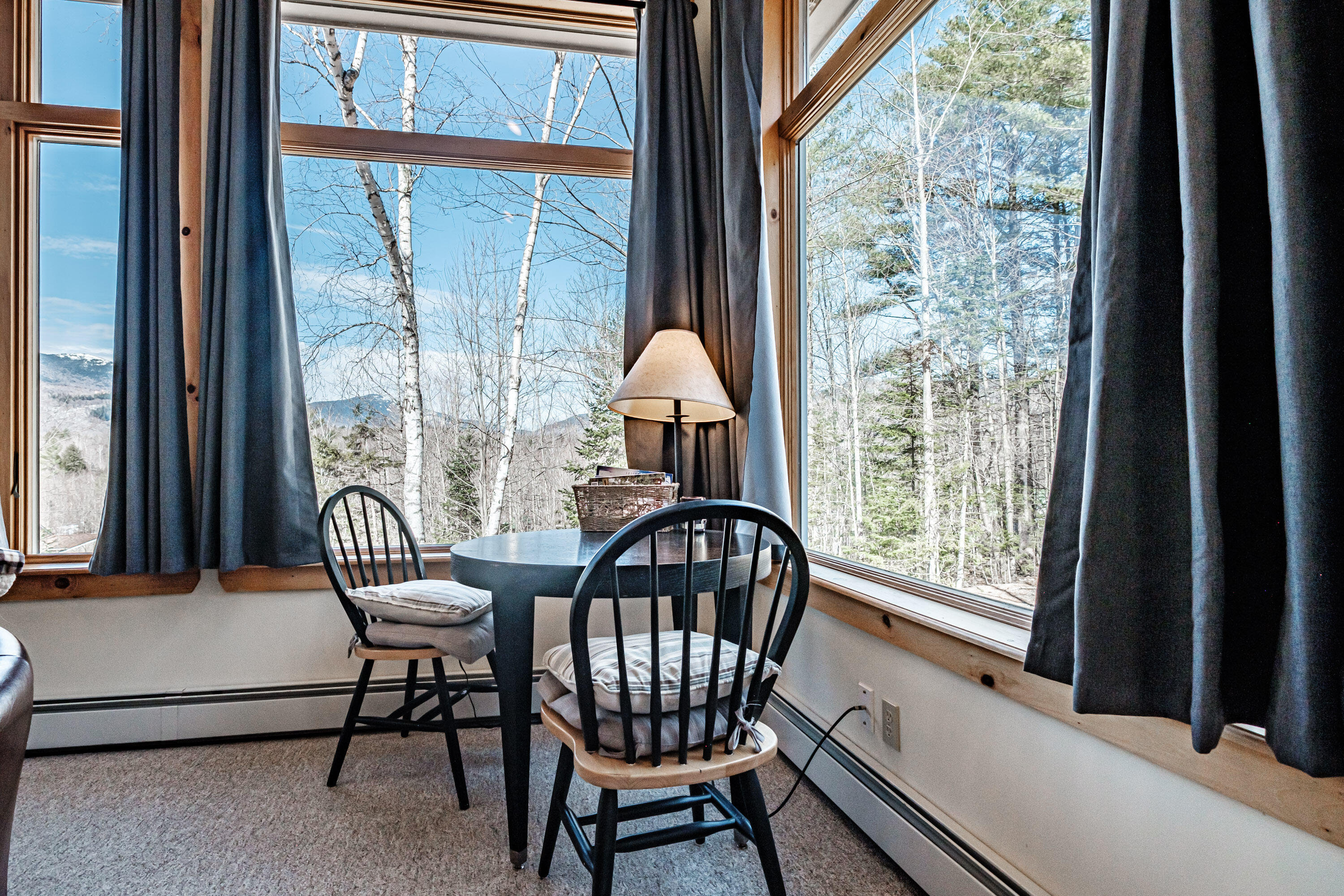 229 Branch Road Newry, ME 04261 - Photo 44 of 90 20240409gp-60078