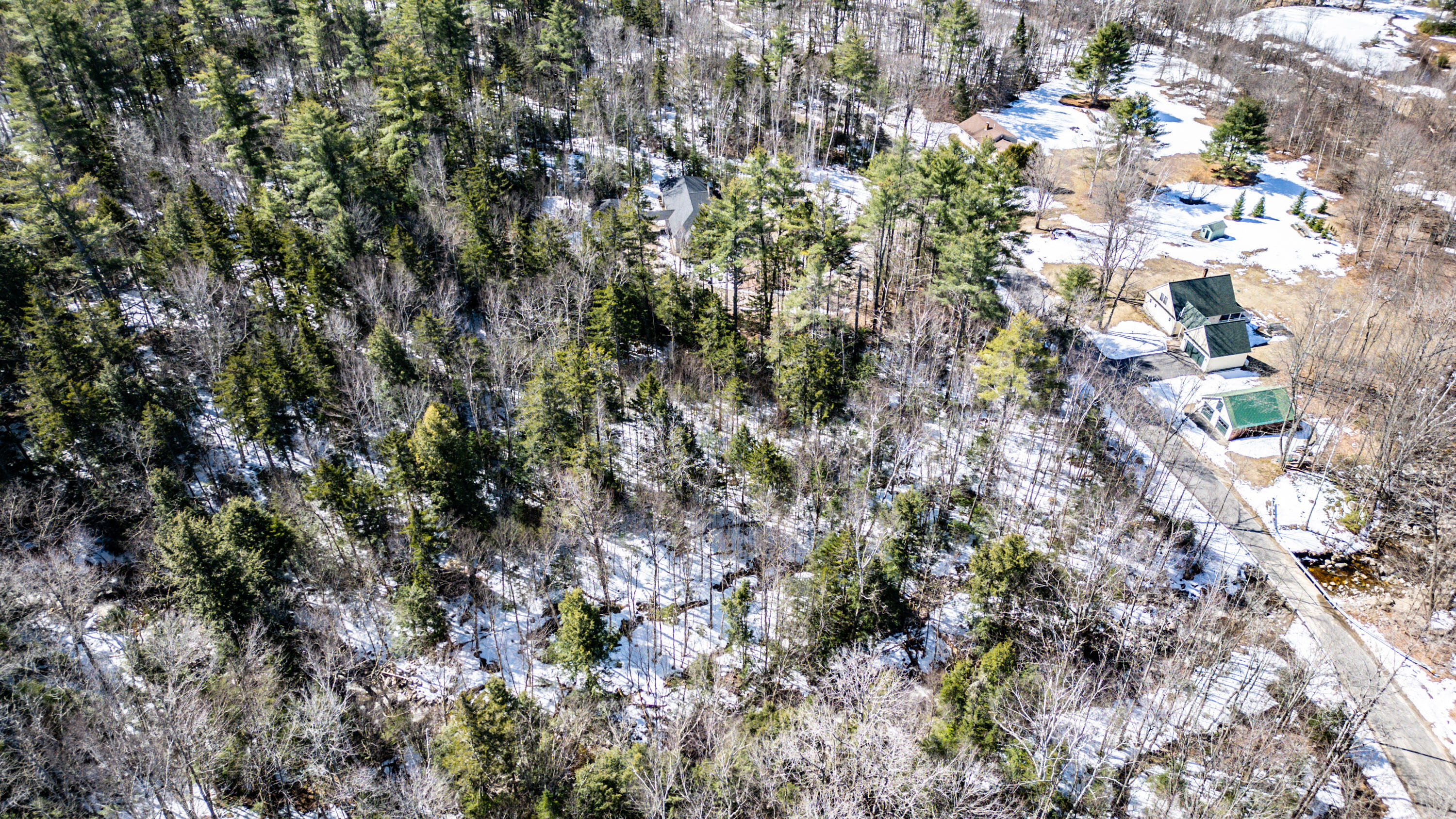 229 Branch Road Newry, ME 04261 - Photo 6 of 90 20240409gp-60021