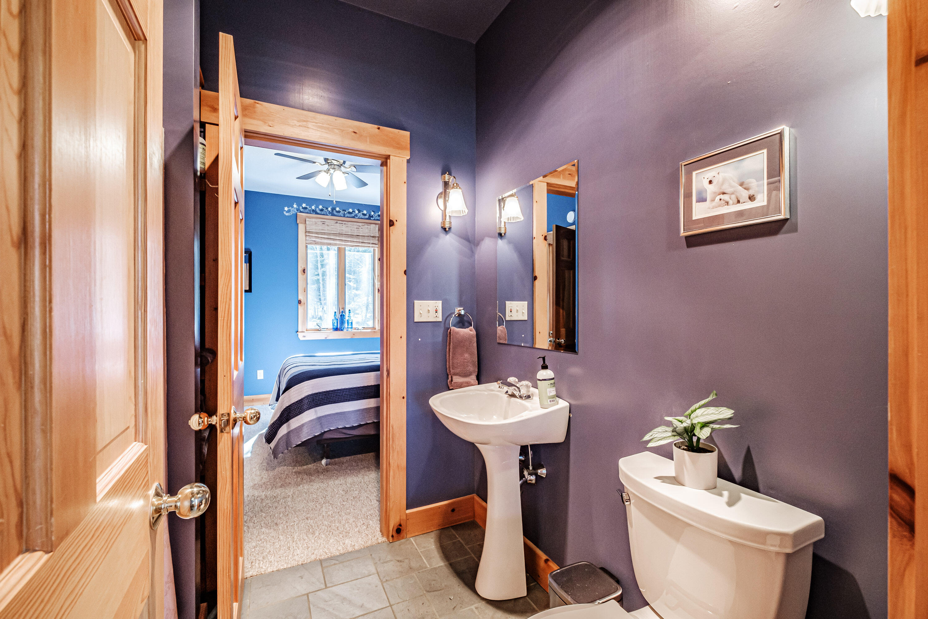 229 Branch Road Newry, ME 04261 - Photo 61 of 90 20240409gp-60094