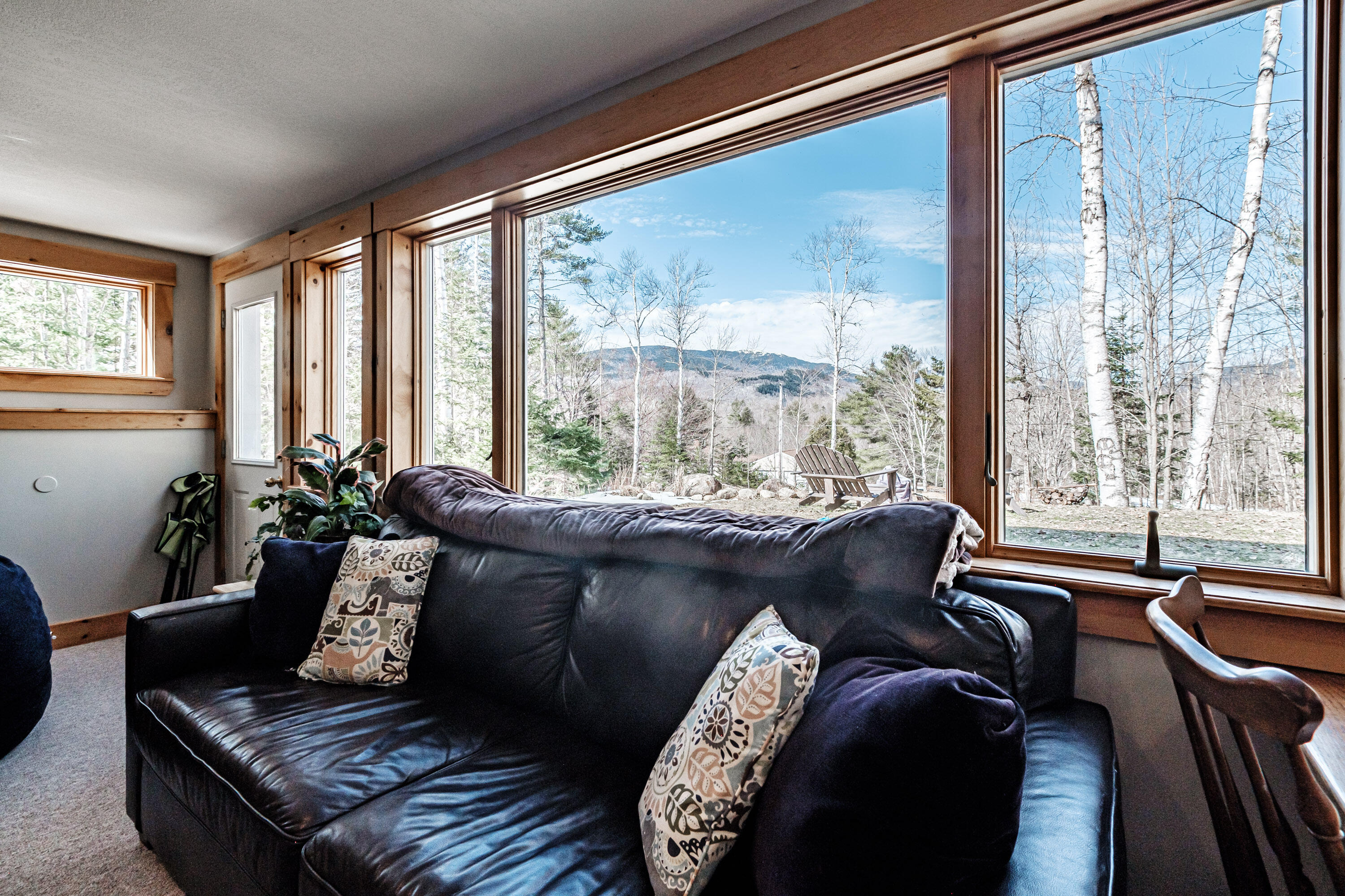 229 Branch Road Newry, ME 04261 - Photo 82 of 90 20240409gp-60122