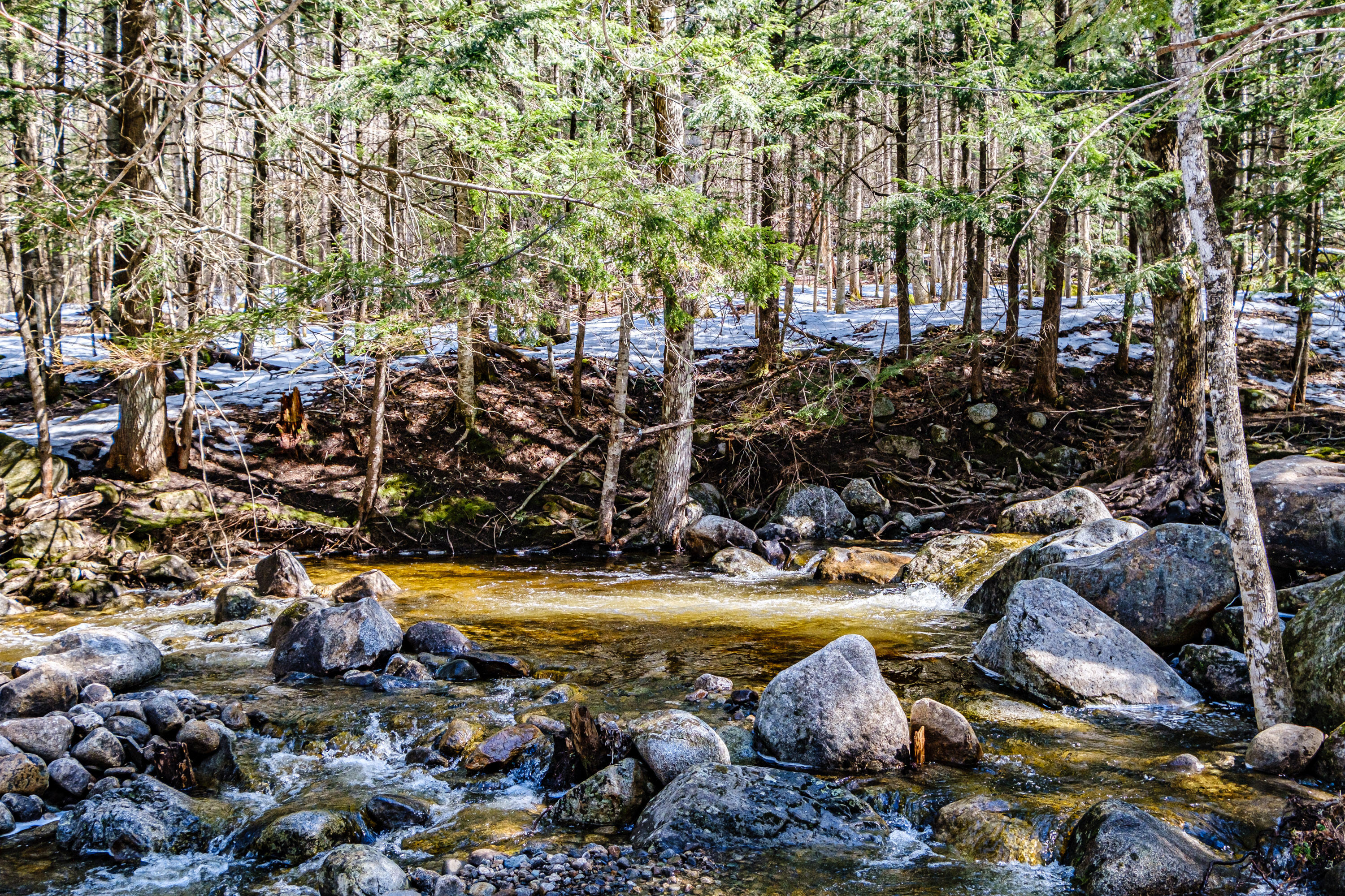 229 Branch Road Newry, ME 04261 - Photo 83 of 90 20240409gp-60135