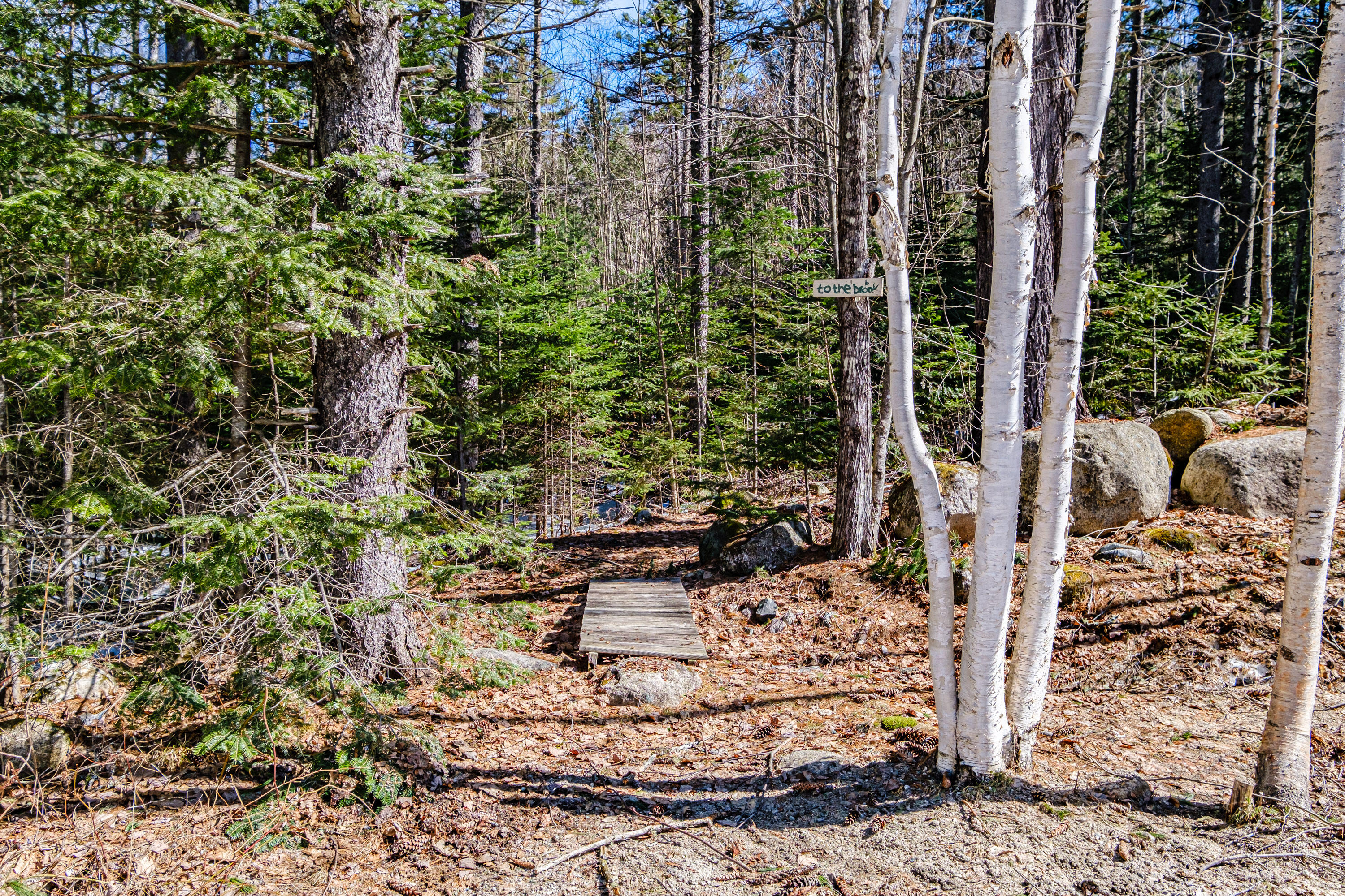 229 Branch Road Newry, ME 04261 - Photo 89 of 90 20240409gp-60128