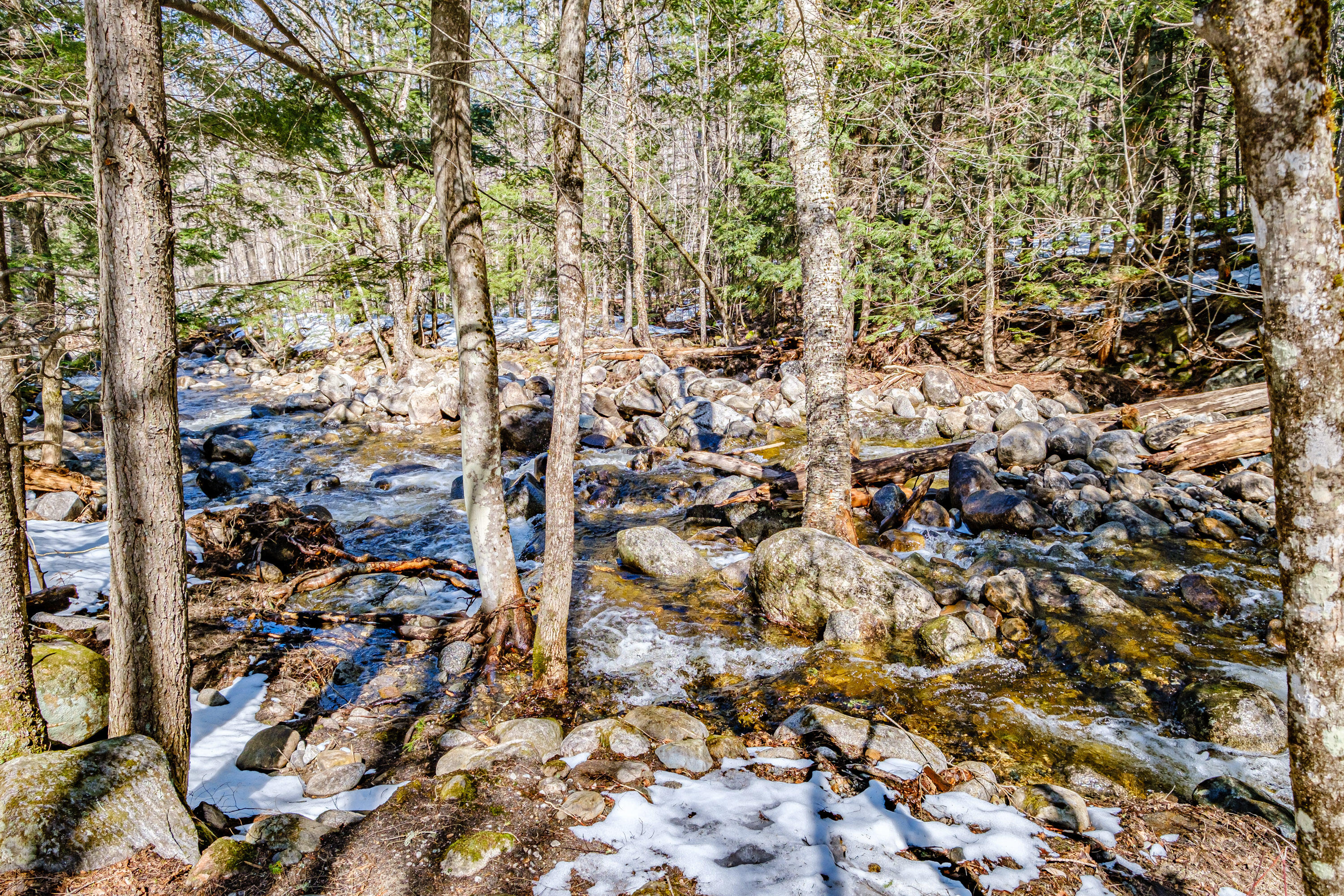 229 Branch Road Newry, ME 04261 - Photo 90 of 90 20240409gp-60133