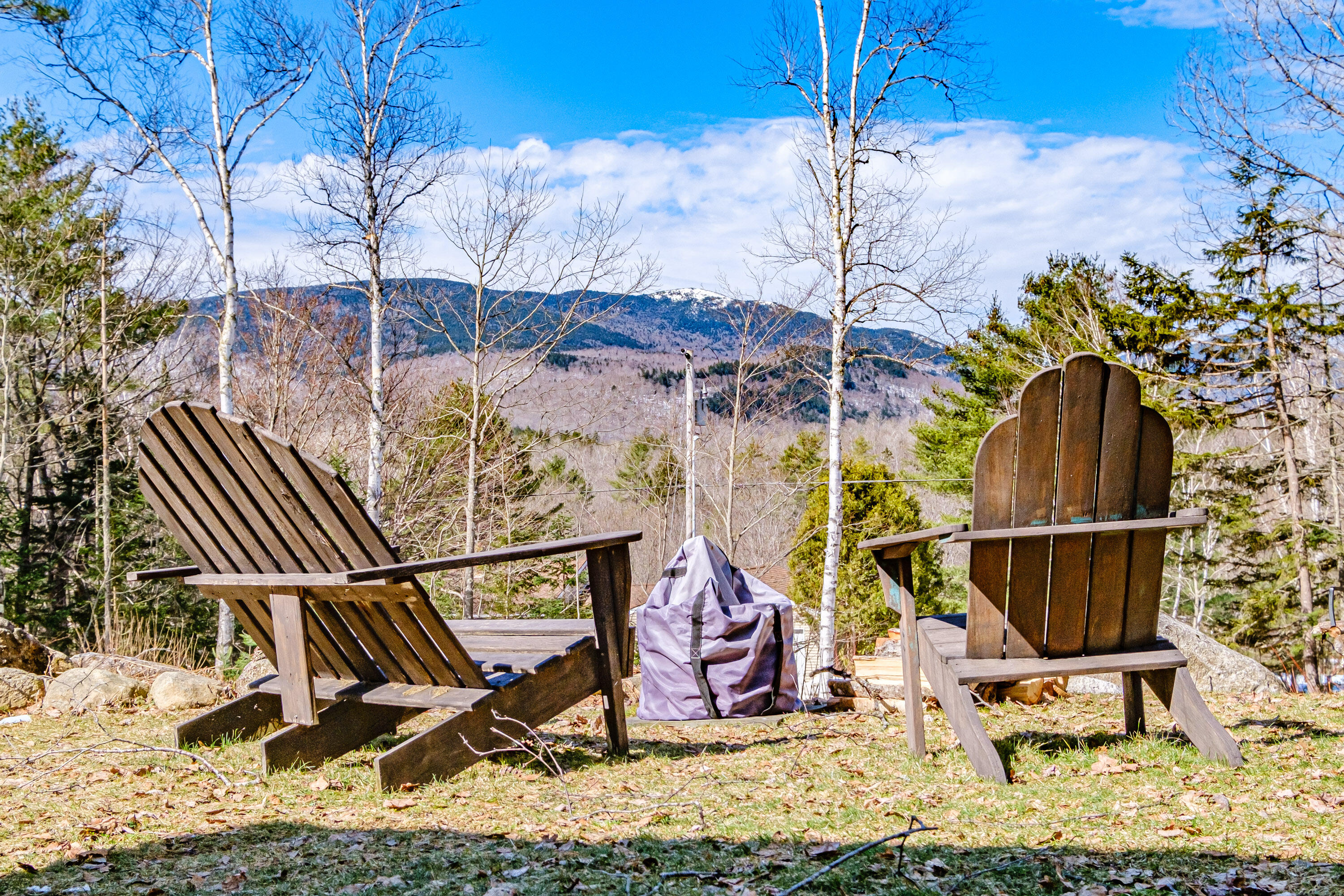 229 Branch Road Newry, ME 04261 - Photo 10 of 90 20240409gp-60037