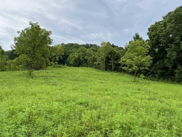 6820 Greenvale Road Watertown, TN 37184 - Photo 3 of 4 Gallery Image 3