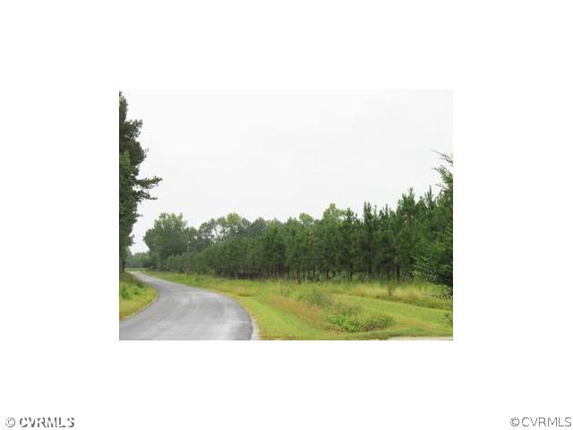 11131 Rivers Mill Road Capron, VA 23829 - Photo 1 of 3 Land