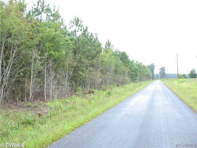 11131 Rivers Mill Road Capron, VA 23829 - Photo 3 of 3 Land