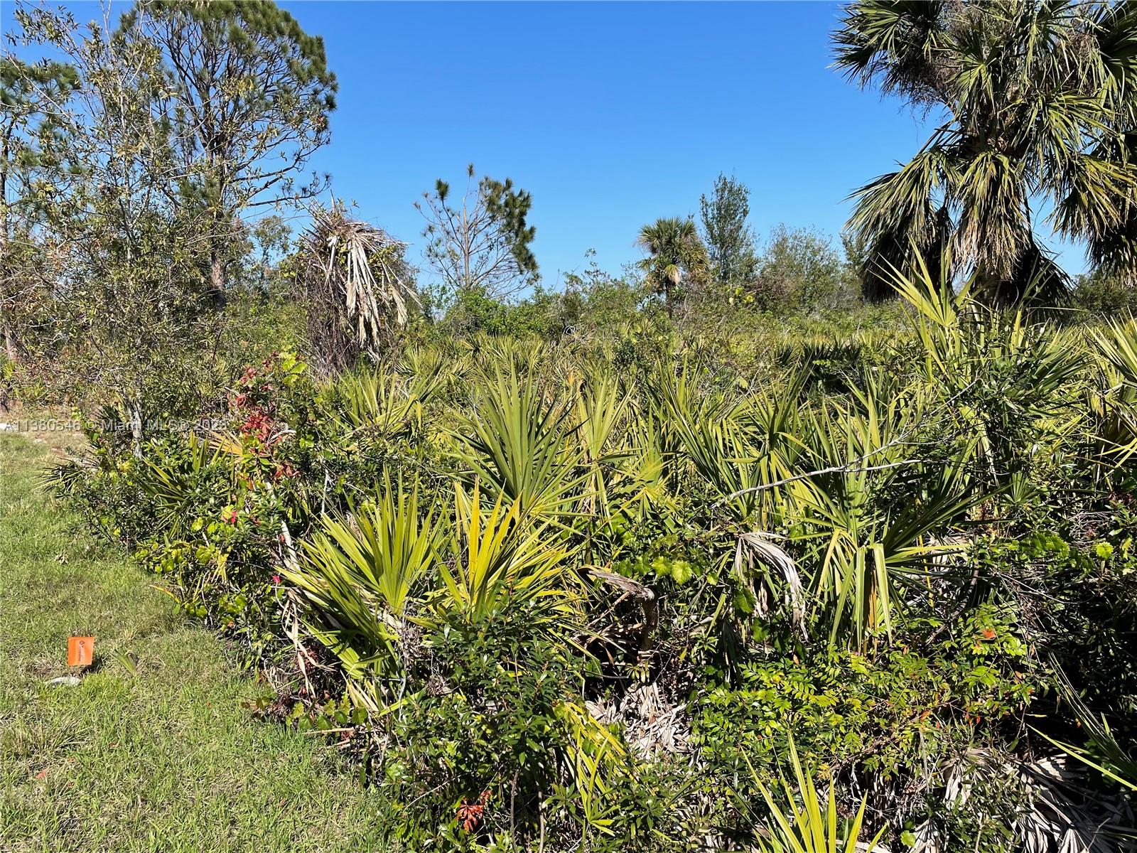 154 Smallwood Road Rotonda West, FL 33947 - Photo 1 of 10 Gallery Image 1