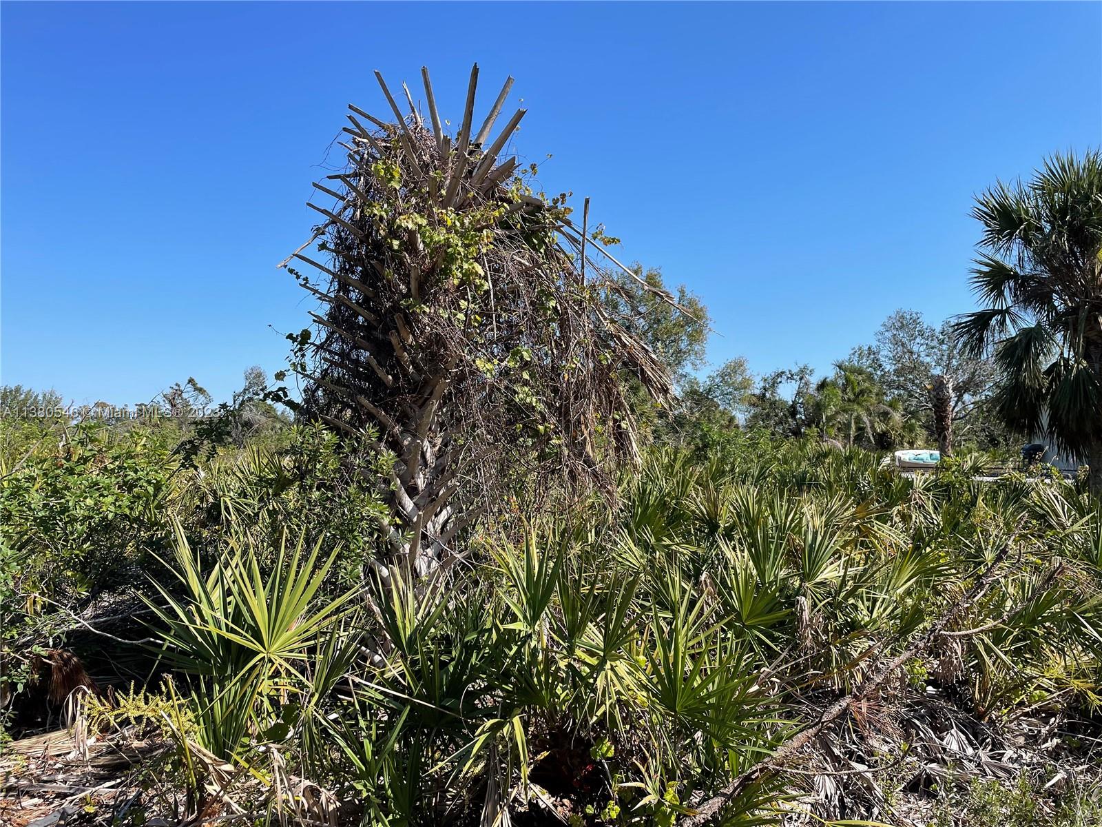 154 Smallwood Road Rotonda West, FL 33947 - Photo 6 of 10 Gallery Image 6