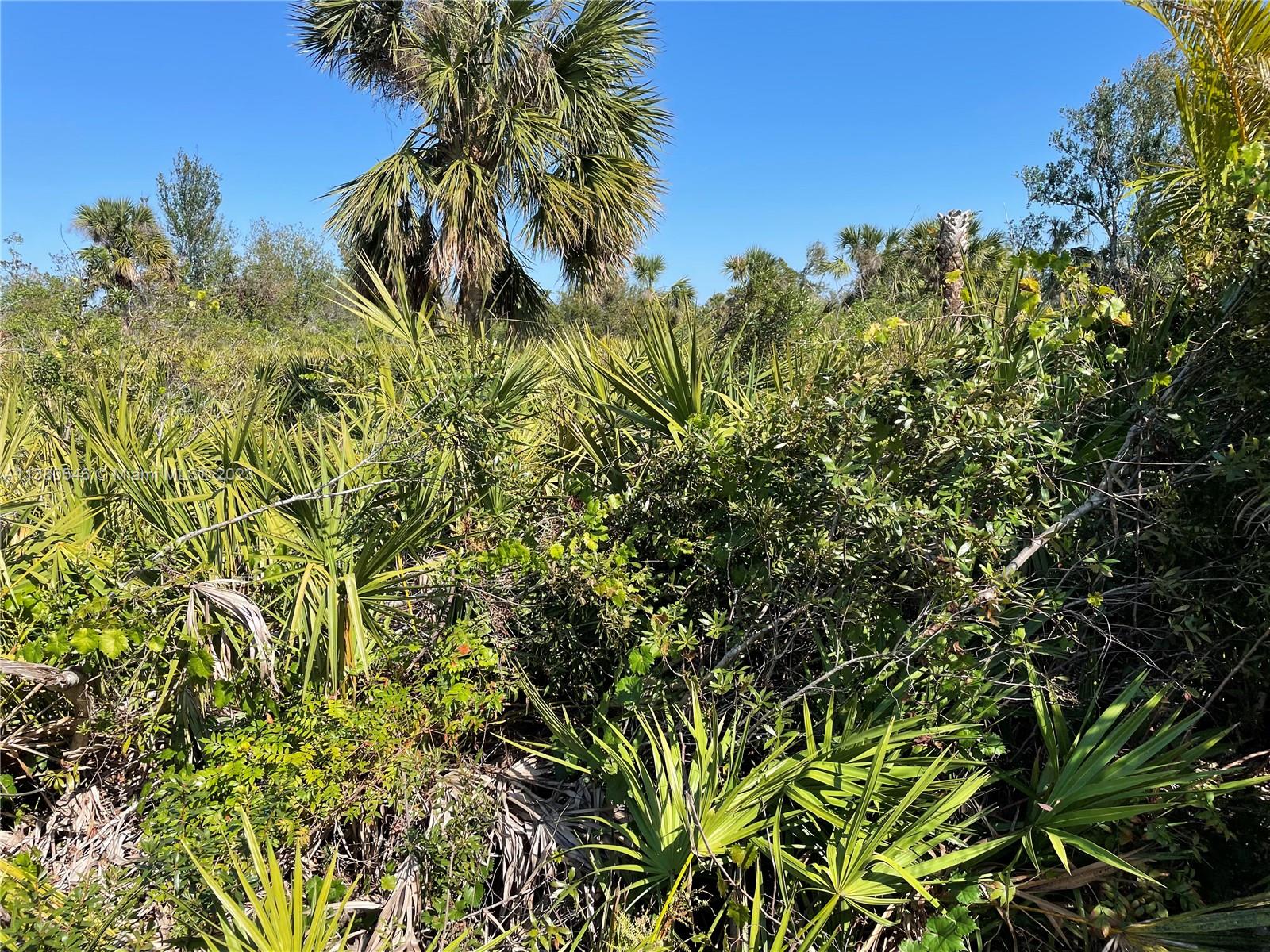154 Smallwood Road Rotonda West, FL 33947 - Photo 7 of 10 Gallery Image 7