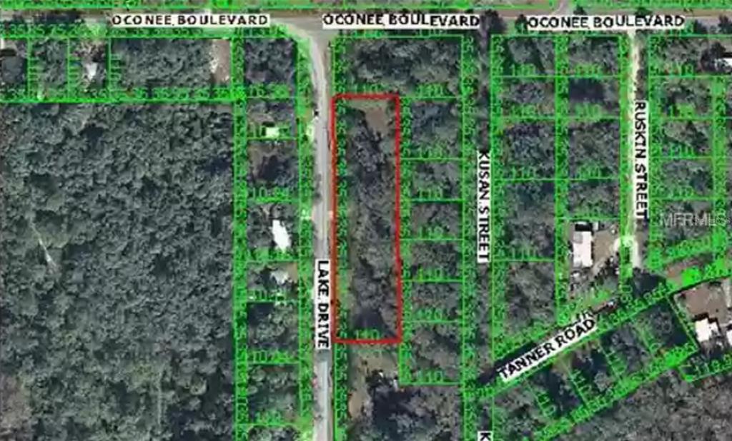 a view of a garden with plants