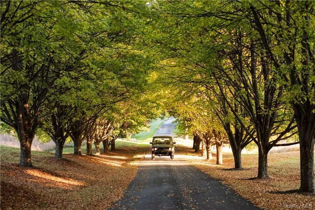 a view of swimming pool with a table and chairs under an umbrella