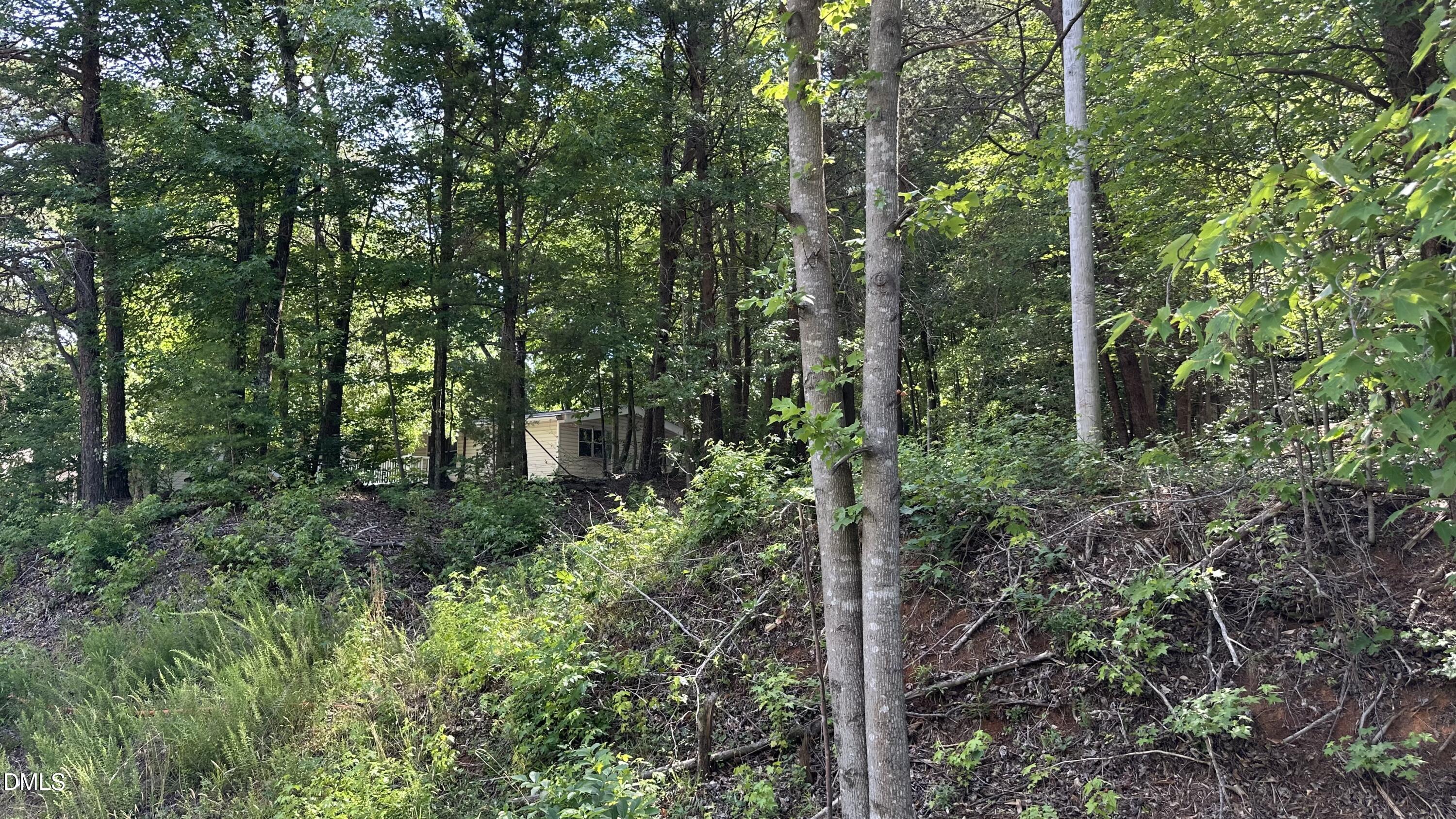 3016 Carver Road Rougemont, NC 27572 - Photo 5 of 9
