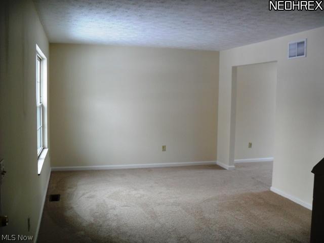 9565 Greenmeadow Road Windham, OH 44288 - Photo 4 of 19