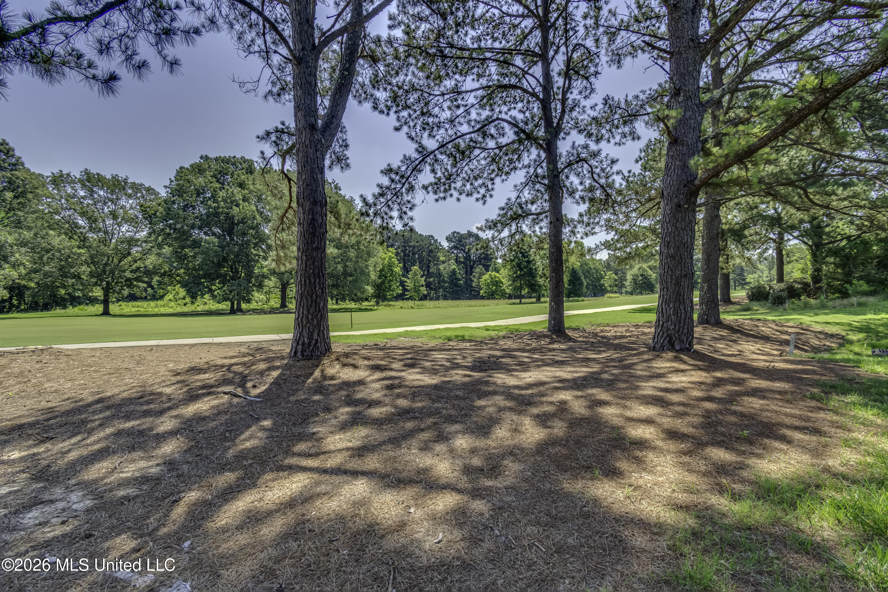 147 Southern Ridge Drive Madison, MS 39110 - Photo 6 of 23 Lot 147 Southern Ridge Dr --5