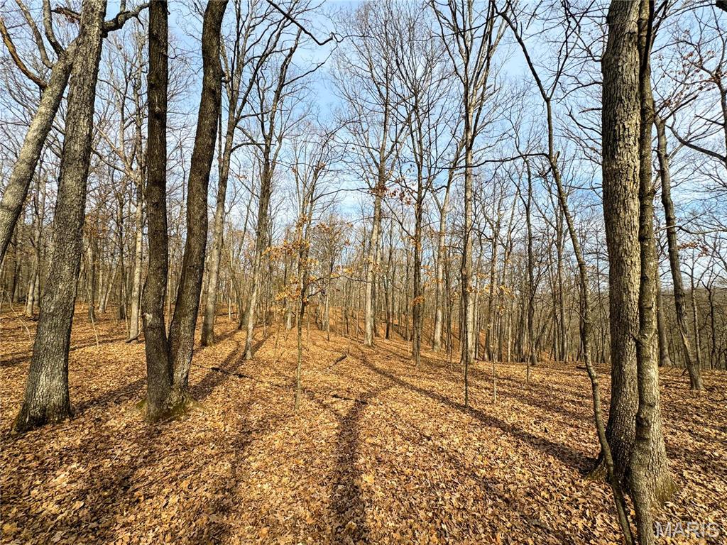 84-ac Buechele Road New Florence, MO 63363 - Photo 11 of 48
