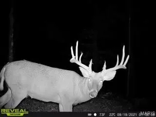 $475,000 | 84-ac Buechele Road, New Florence, MO 63363