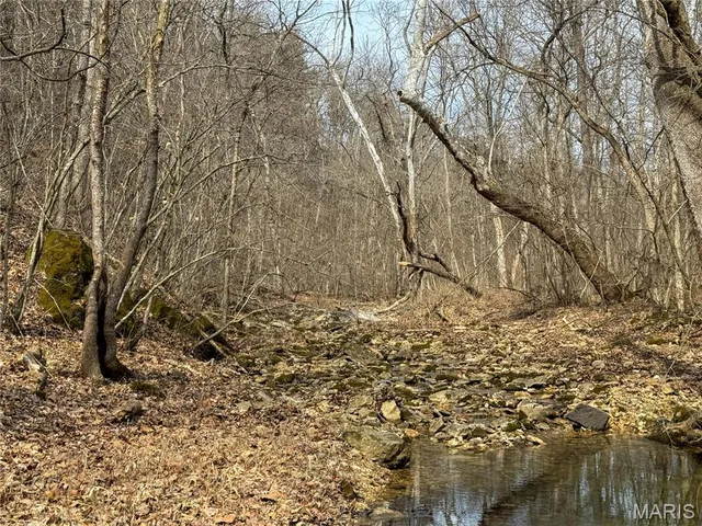 $475,000 | 84-ac Buechele Road, New Florence, MO 63363