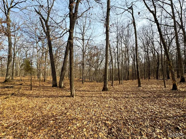 $475,000 | 84-ac Buechele Road, New Florence, MO 63363