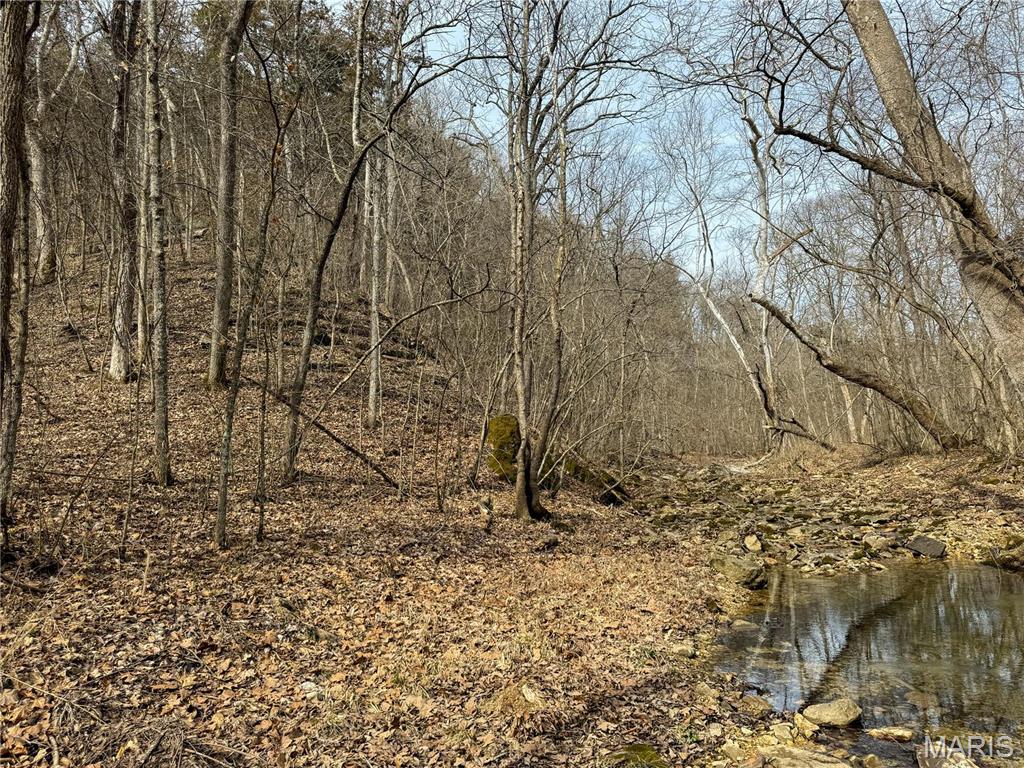 84-ac Buechele Road New Florence, MO 63363 - Photo 15 of 48